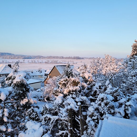 grüner_Horizont_im_Winter