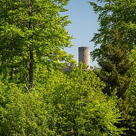 Burgruine Nürburg mitten in der "Grünen Hölle"