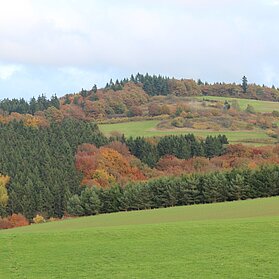Wirftbachschleife-Natur im Herbst