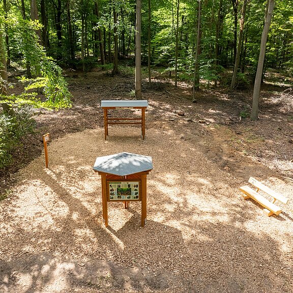 Waldentdeckerpfad Bad Neuenahr-Ahrweiler