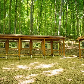 Waldentdeckerpfad Bad Neuenahr-Ahrweiler