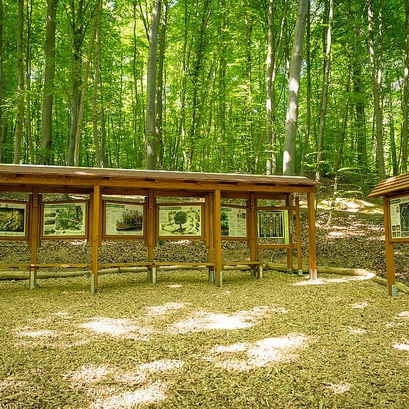 Waldentdeckerpfad Bad Neuenahr-Ahrweiler