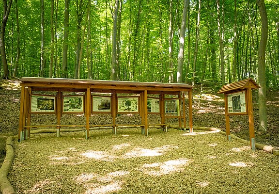 Waldentdeckerpfad Bad Neuenahr-Ahrweiler