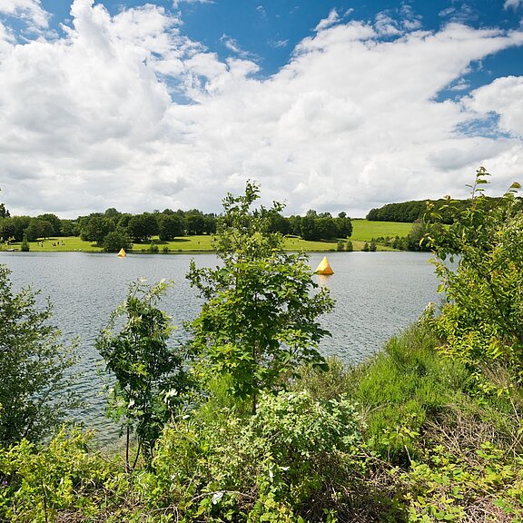 Naherholungsgebiet Freilinger See