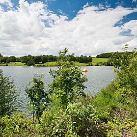 Naherholungsgebiet Freilinger See