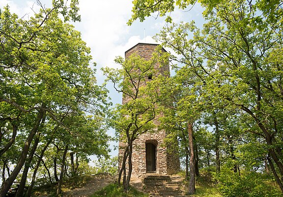 Krausberg, Ahrtal, Wandern, Dernau