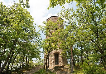 Krausberg, Ahrtal, Wandern, Dernau