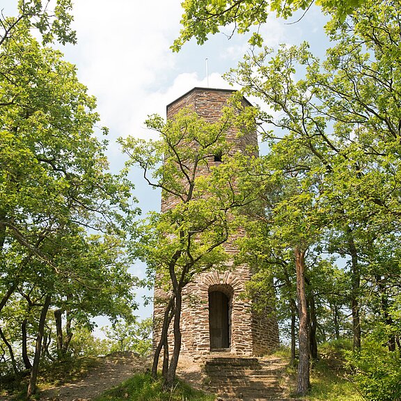 Krausberg, Ahrtal, Wandern, Dernau