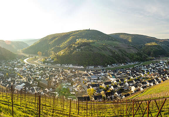Blick vom Sonderberg, ausgezeichnet zur "Schönsten Weinsicht der Ahr 2016"