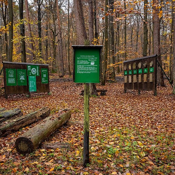 Waldentdeckerpfad Bad Neuenahr-Ahrweiler