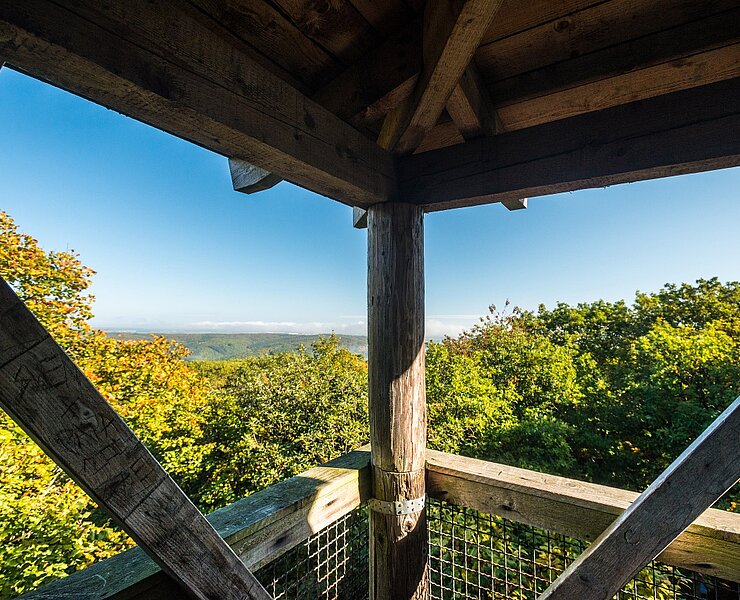 Aussicht Alfred-Dahm-Turm