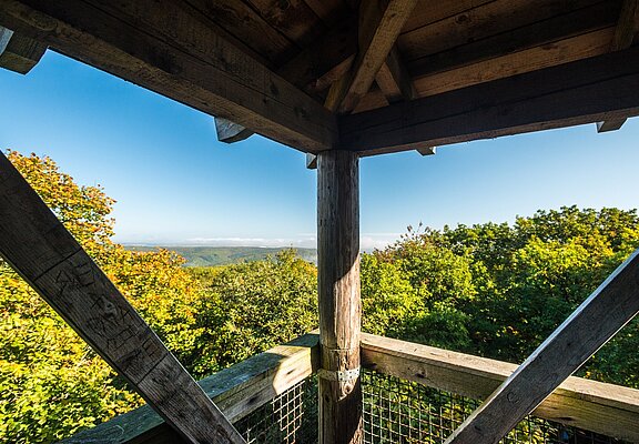 Aussicht Alfred-Dahm-Turm