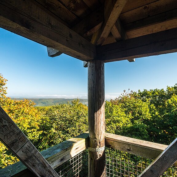 Aussicht Alfred-Dahm-Turm
