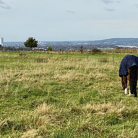 Aussicht auf Bonn vom Rodderberg aus