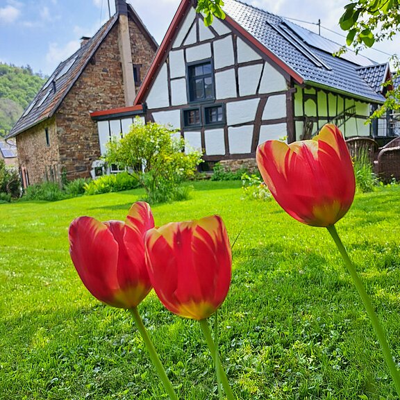 Frühling hält Einzug