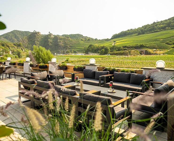 Terrasse mit blick in die Weinberge