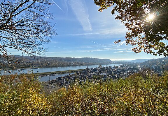 Der Ausblick auf Oberwinter vom Friedrichsberg aus.