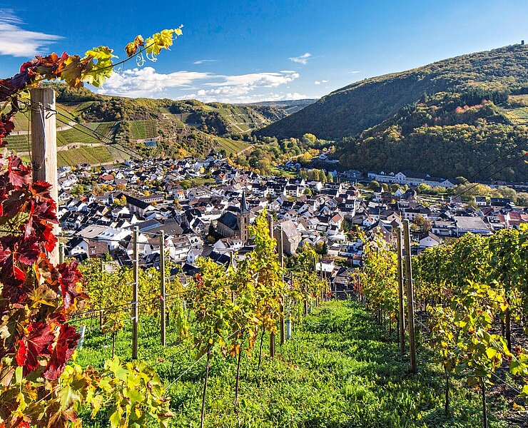 Blick auf Dernau