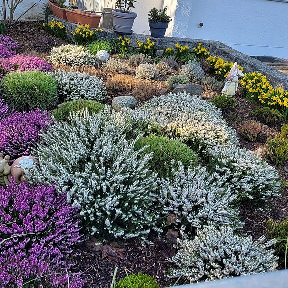 Vorgarten im Frühjahr