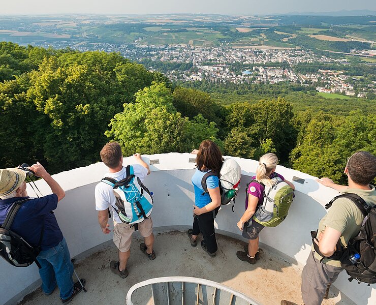 Ausblick vom Turm auf dem Neuenahrer Berg