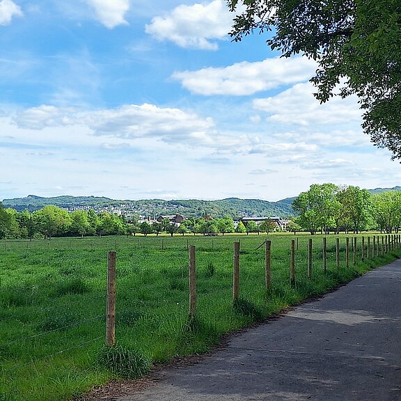 Wiesen und Felder auf dem Weg zur Ahrmündung