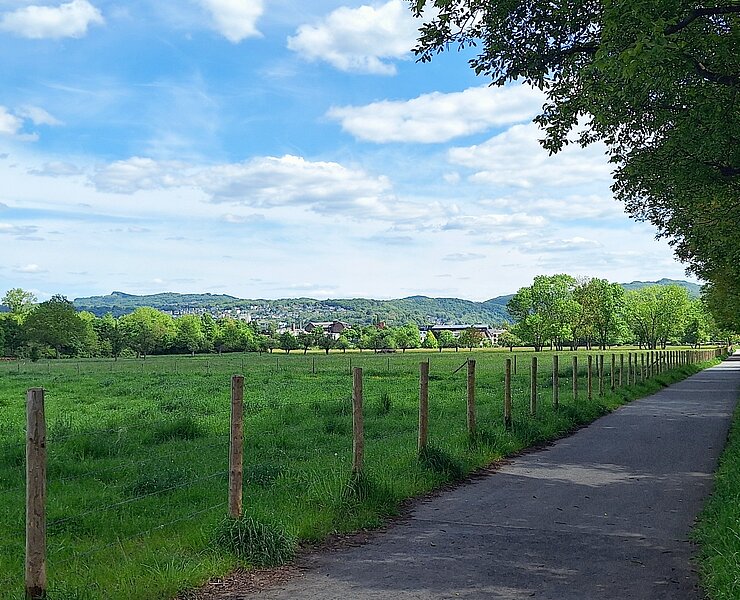 Wiesen und Felder auf dem Weg zur Ahrmündung