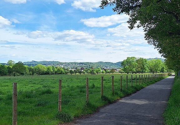 Wiesen und Felder auf dem Weg zur Ahrmündung
