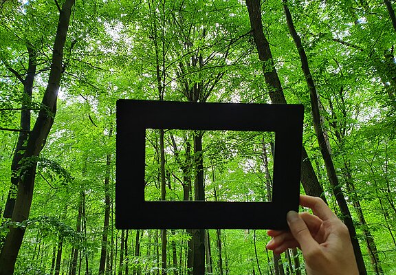 Waldbaden mit RobinWoods