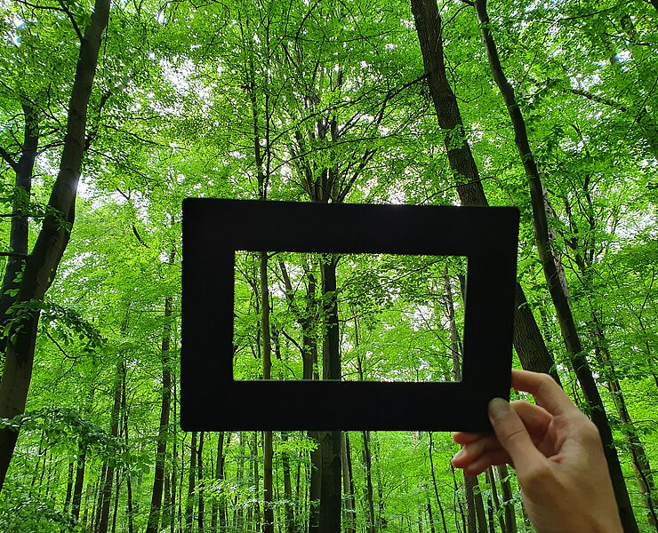 Waldbaden mit RobinWoods