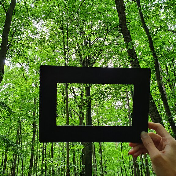 Waldbaden mit RobinWoods