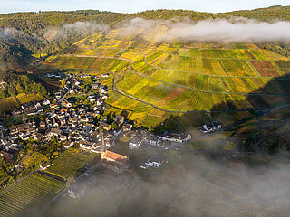 Weinbergslage „Mönchberg“ in Mayschoß mit herbstlicher Farbenpracht und Nebelschwaden über dem Weindorf.