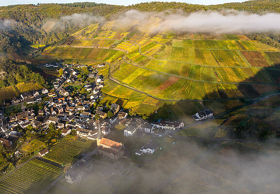 Weinbergslage „Mönchberg“ in Mayschoß mit herbstlicher Farbenpracht und Nebelschwaden über dem Weindorf.