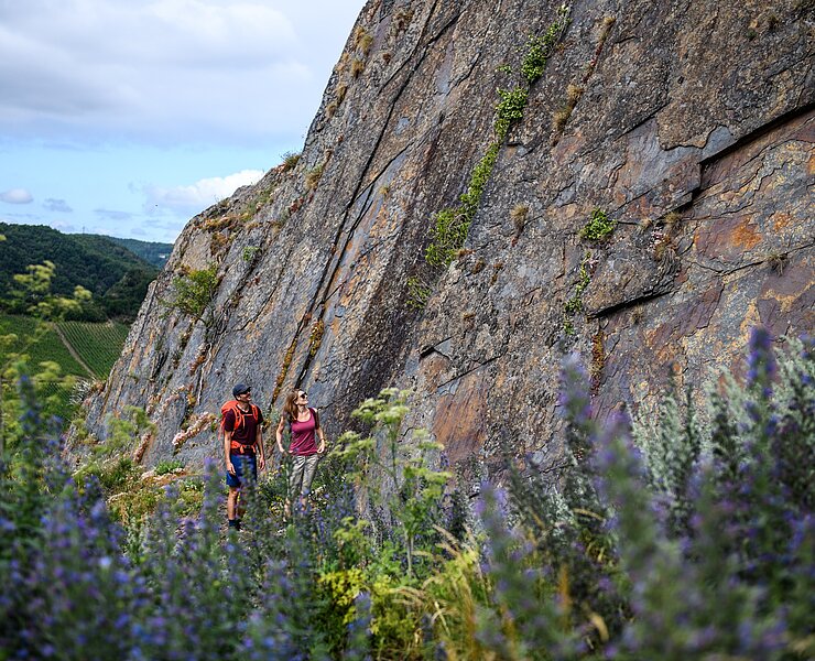 Steile Felsen hoch über Mayschoß