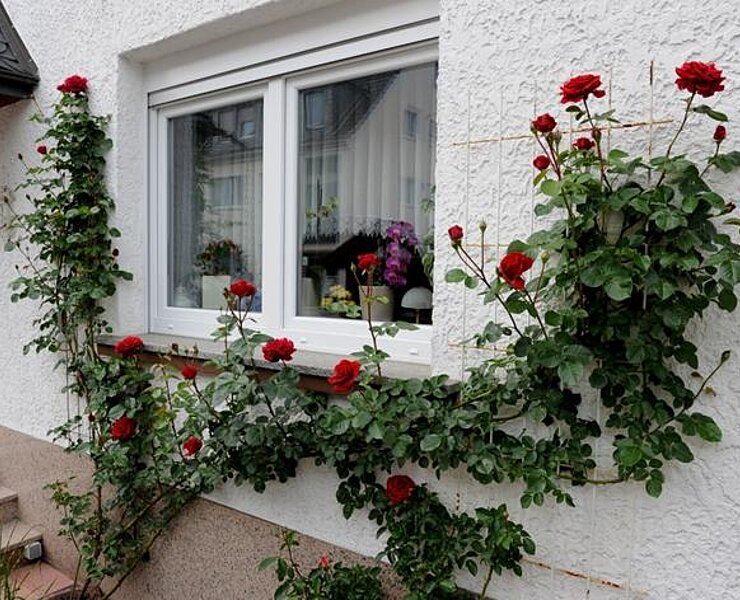 Außenannsicht Whg. B Eingang