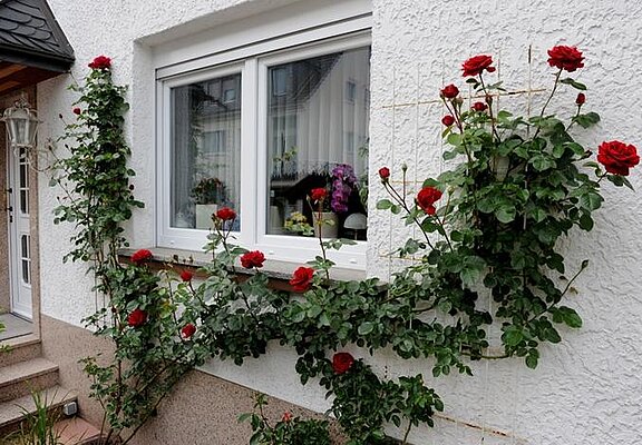 Außenannsicht Whg. B Eingang