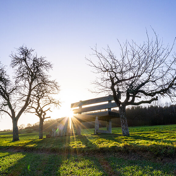 XXL-Bank, Heimersheim, AhrSteig, Ahrtal