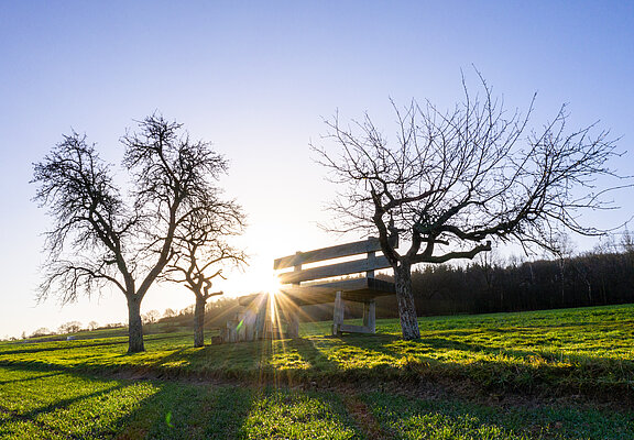 XXL-Bank, Heimersheim, AhrSteig, Ahrtal