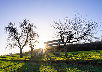 XXL-Bank, Heimersheim, AhrSteig, Ahrtal