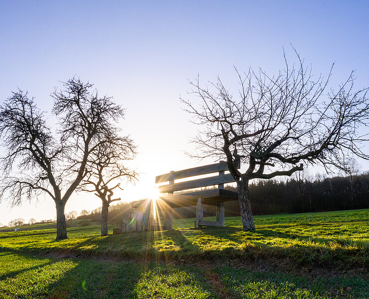 XXL-Bank, Heimersheim, AhrSteig, Ahrtal