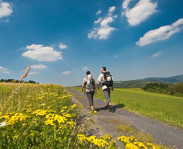 Höhenzug des Dümpelhardt