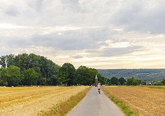 Ahr-Radweg im Sommer bei Sinzig