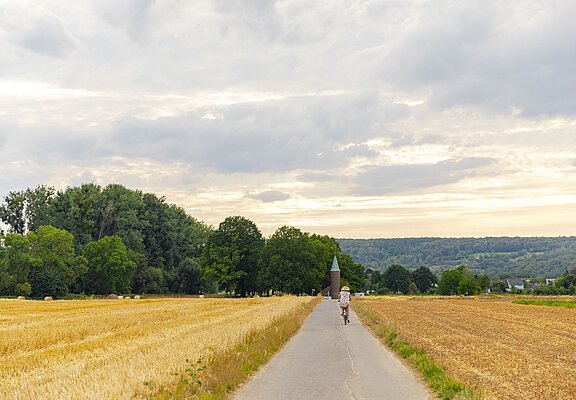 Ahr-Radweg im Sommer bei Sinzig