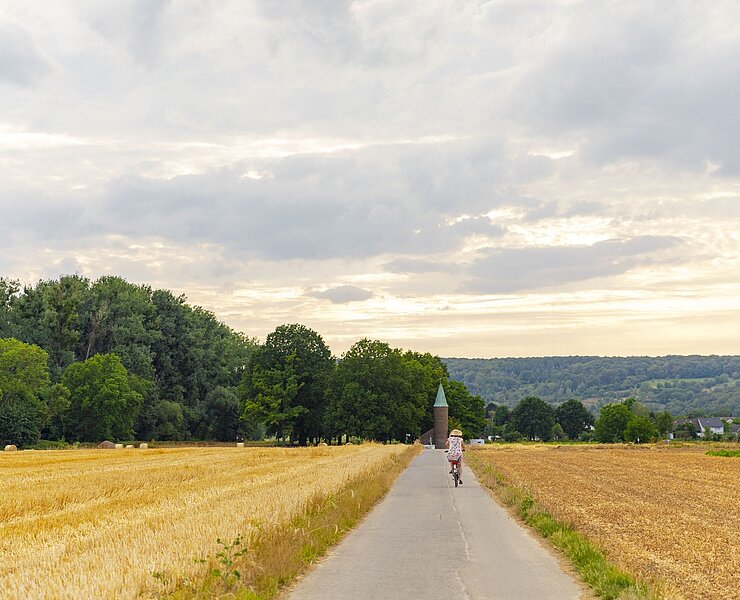 Ahr-Radweg im Sommer bei Sinzig