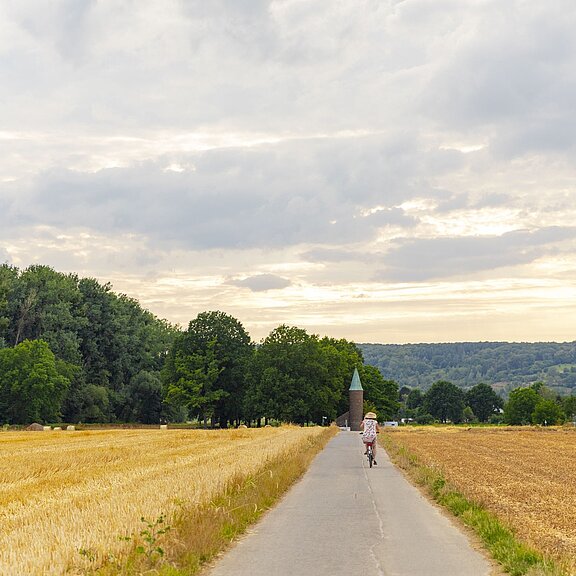 Ahr-Radweg im Sommer bei Sinzig
