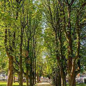 Kurpark Bad Neuenahr