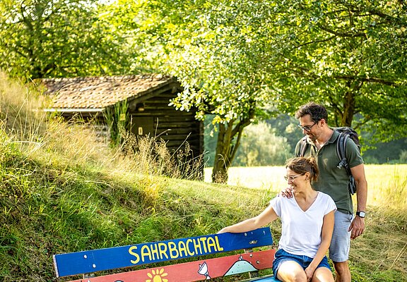 Im Sahrbachtal