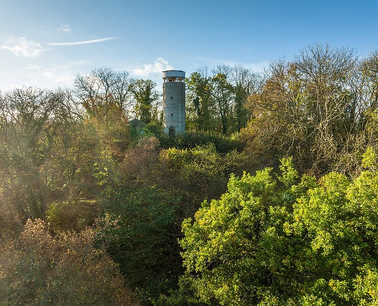 Aussichtsturm auf dem Neuenahrer Berg
