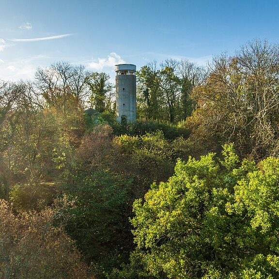 Aussichtsturm auf dem Neuenahrer Berg