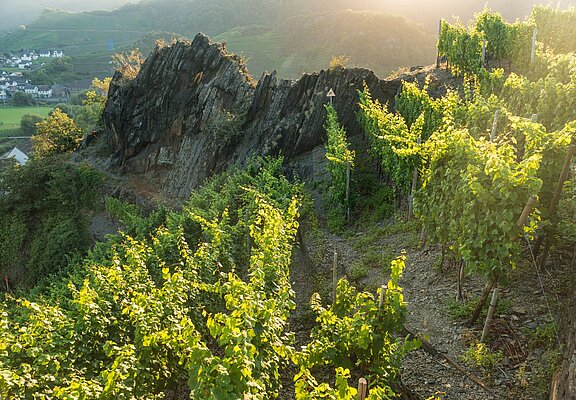 Weinberge im Ahrtal