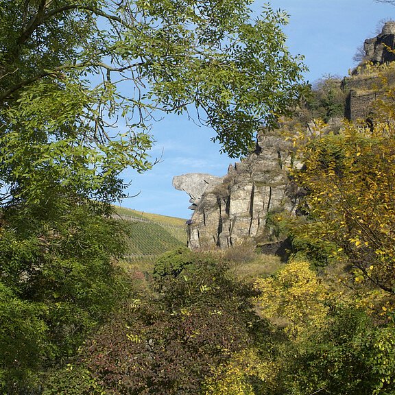 Aussichtspavillon, Ahrtal, Bunte Kuh, Panoramablick, Walporzheim, Rotweinwanderweg